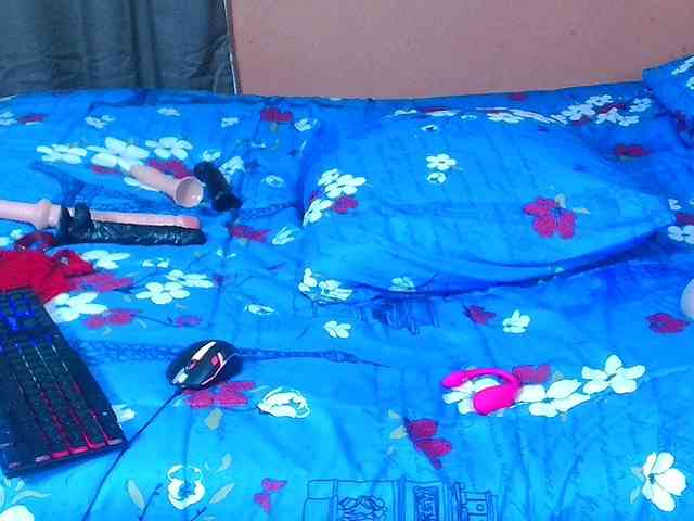 VelvetTits webcam