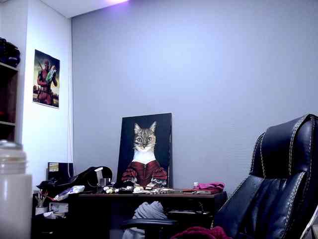 scarlettsen webcam