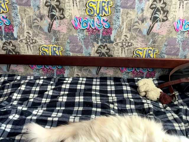 Preview of georgeannbartkowiak