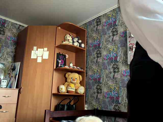 GeorgeannBartkowiak webcam