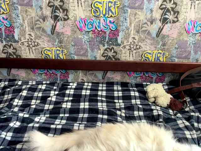 GeorgeannBartkowiak webcam