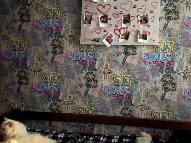 GeorgeannBartkowiak webcam