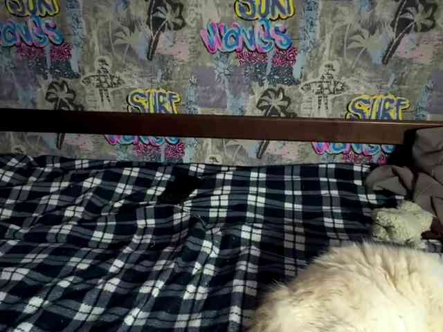 GeorgeannBartkowiak webcam