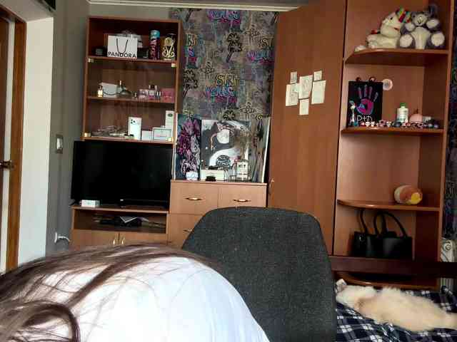 GeorgeannBartkowiak webcam