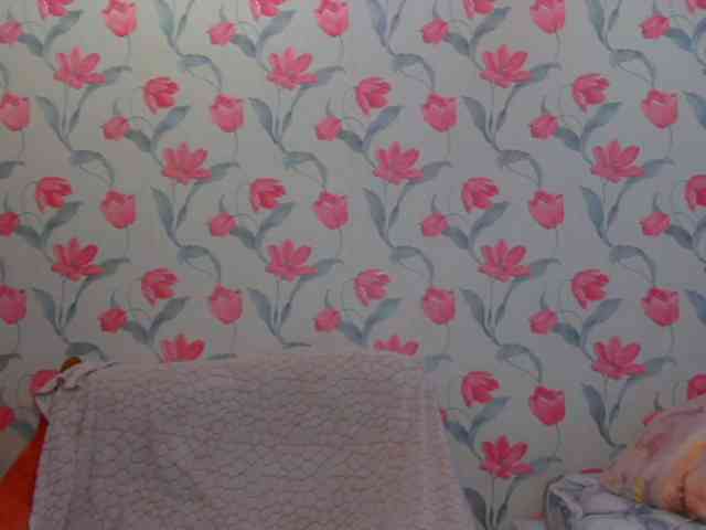 AnnmarieGuastella webcam