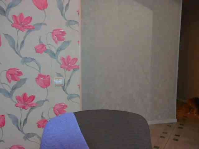 AnnmarieGuastella webcam