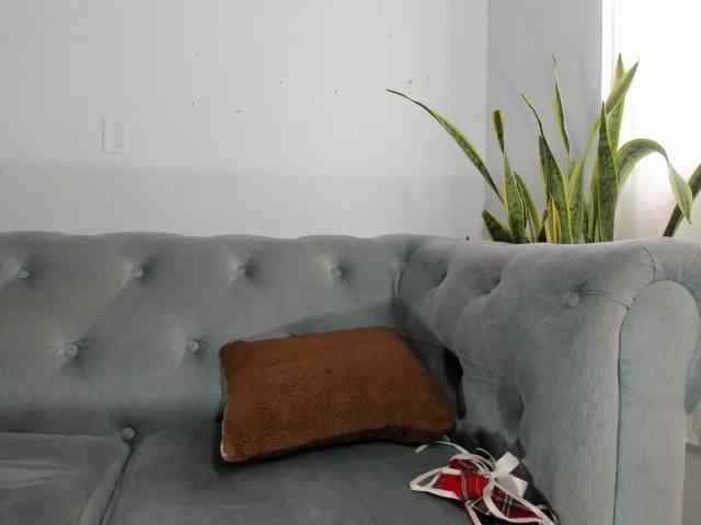 santi-and-camila webcam