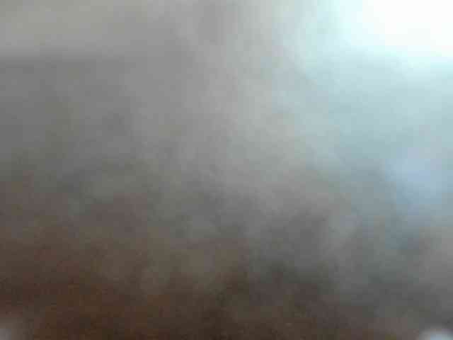 santi-and-camila webcam