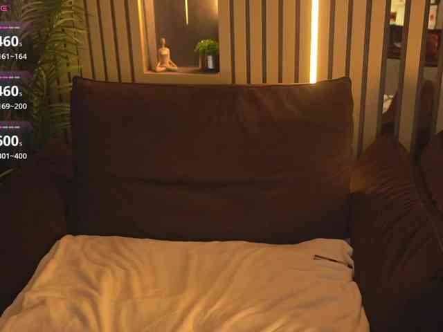 SecretKiraa webcam