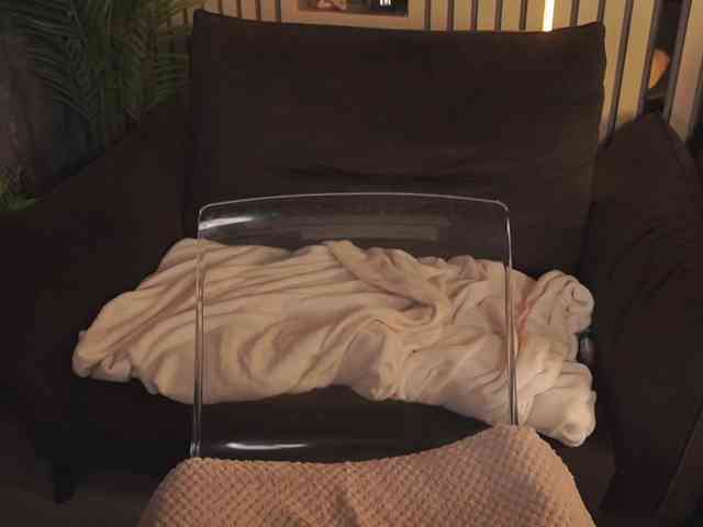 SecretKiraa webcam