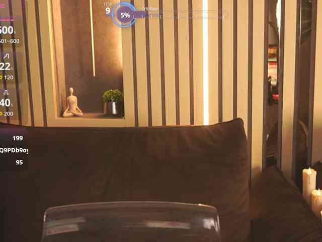 SecretKiraa webcam