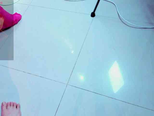 -Dasha webcam