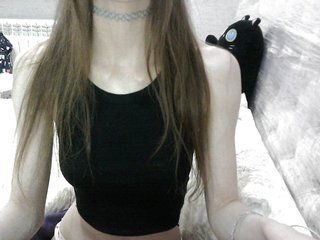 KittyBounty