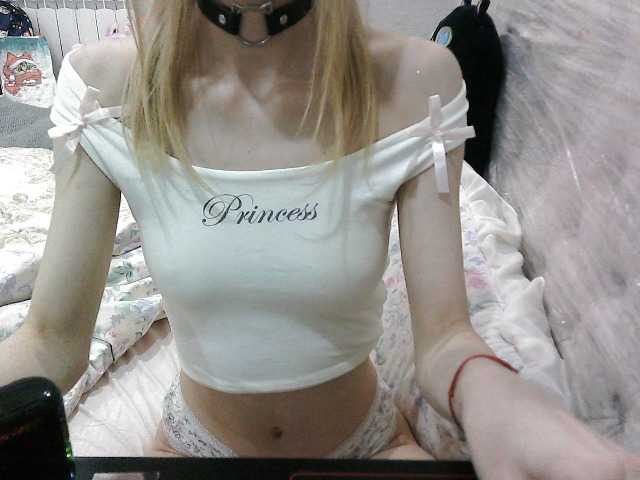 KittyBounty