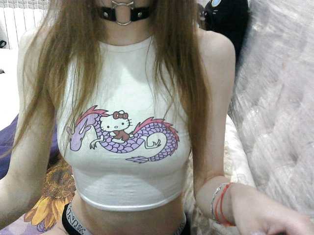 KittyBounty