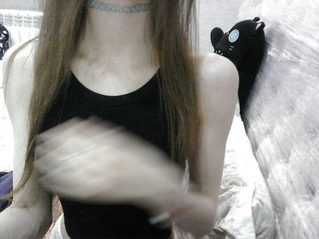 KittyBounty