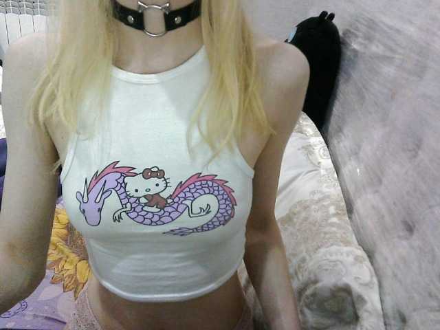 KittyBounty