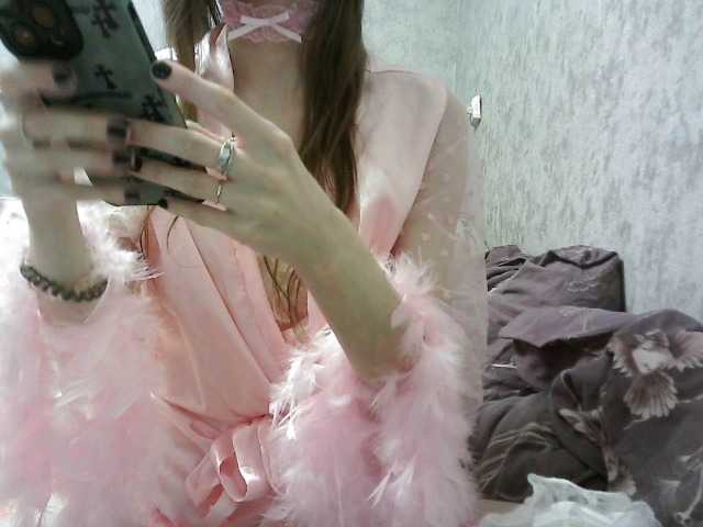 KittyBounty