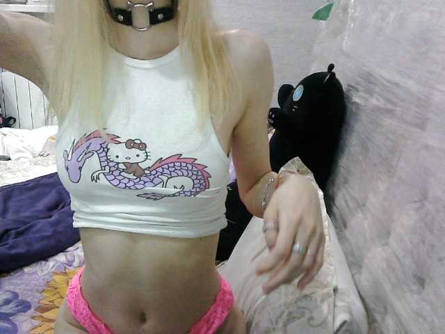 KittyBounty