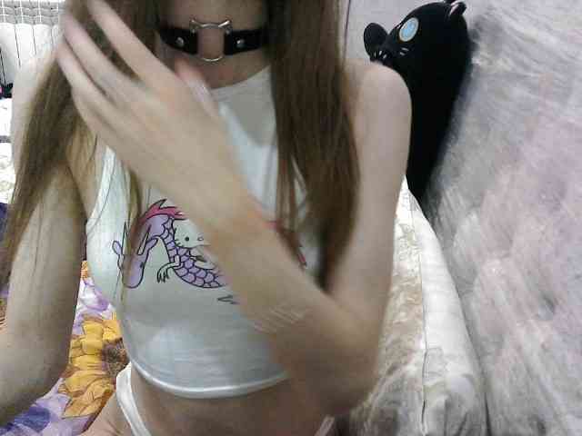 KittyBounty KittyBounty