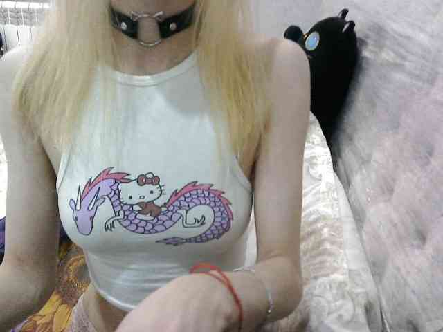 KittyBounty