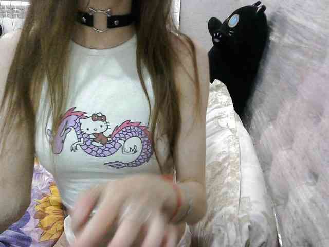 KittyBounty KittyBounty