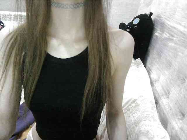 KittyBounty webcam