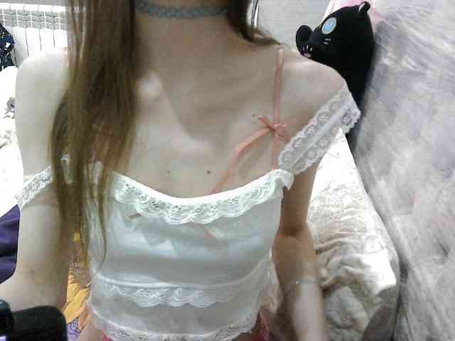 KittyBounty