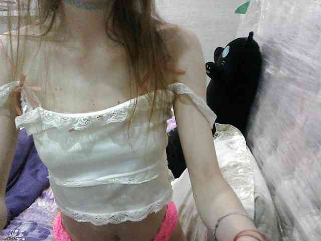 KittyBounty KittyBounty