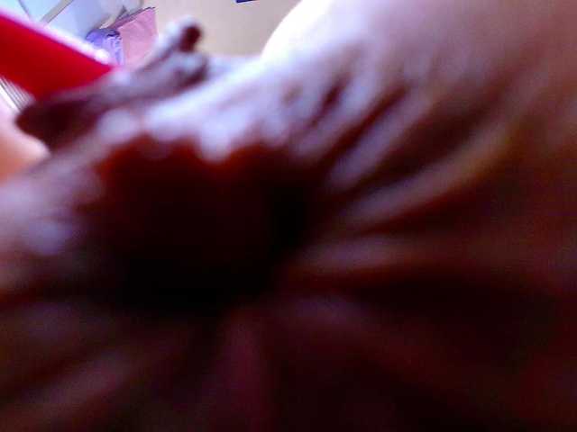 Juliannae