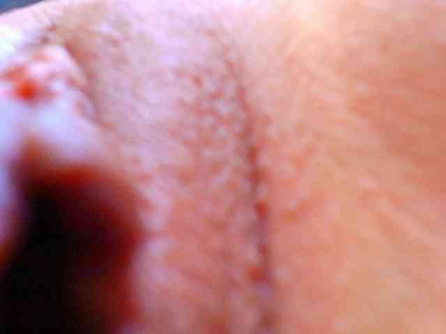 Juliannae webcam