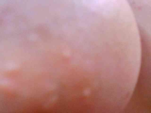 Juliannae webcam
