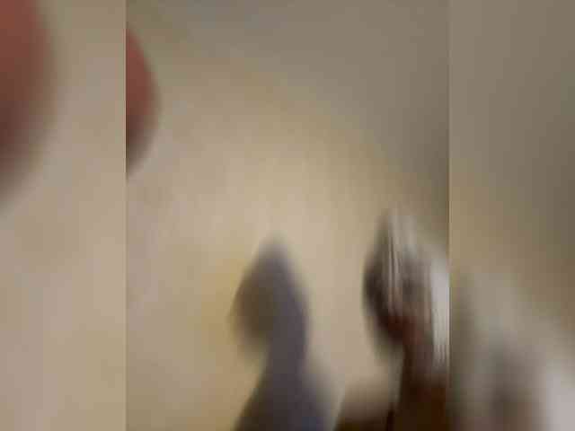 Dimka11-11 webcam