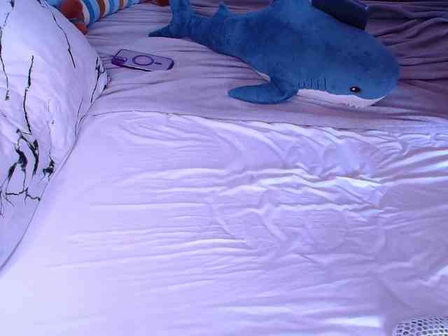ISTRA_BB webcam