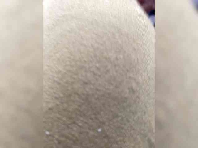 Aleks0044a