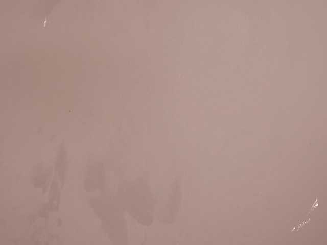 DesiMissy live webcam show