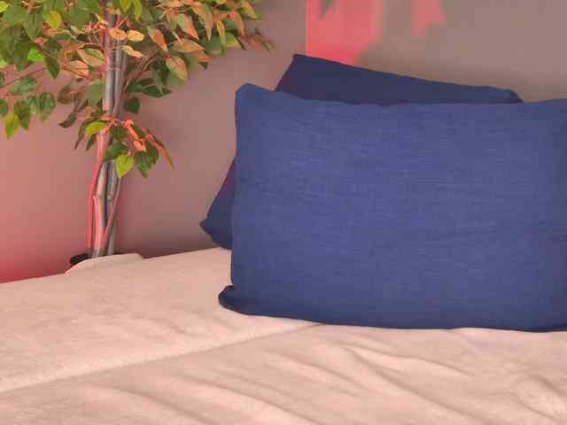 DesiMissy webcam