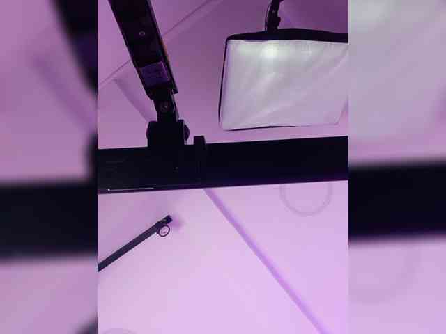 KattyAdams Live Webcam on BongaCams