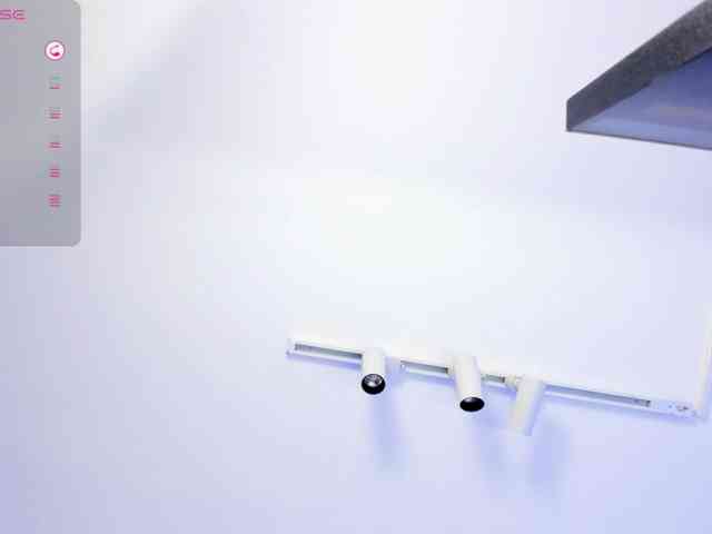 Valery-Cortez webcam