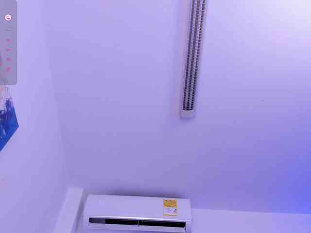 Valery-Cortez webcam