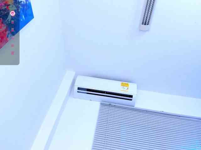 Valery-Cortez webcam