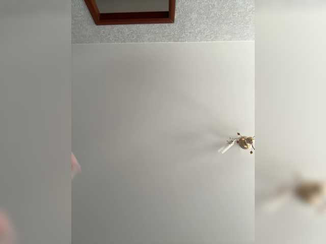 Kissaaa666's BongaCams show and profile