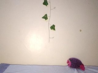 silkysinner00