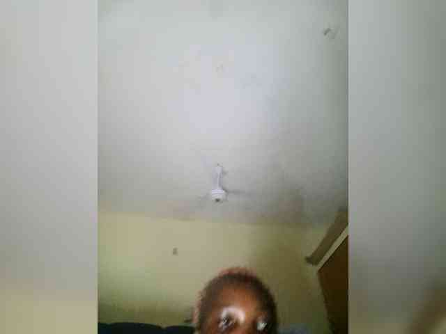 Littlemissdiva webcam