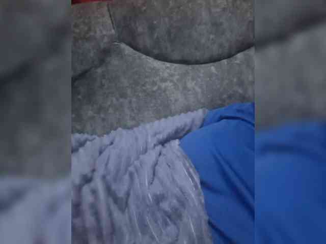 Littlesecret-1 webcam