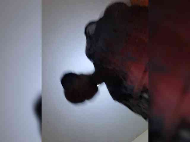 Darkdesire-1 webcam
