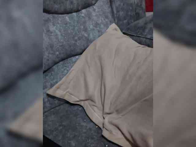 Littlesecret-1 webcam