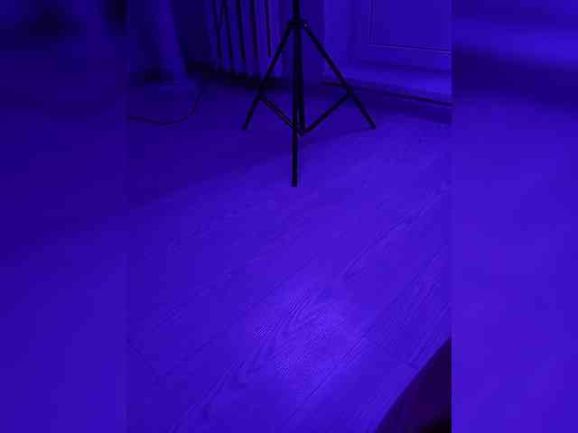 DevitivostayLisa webcam