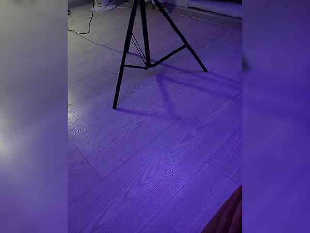 DevitivostayLisa webcam