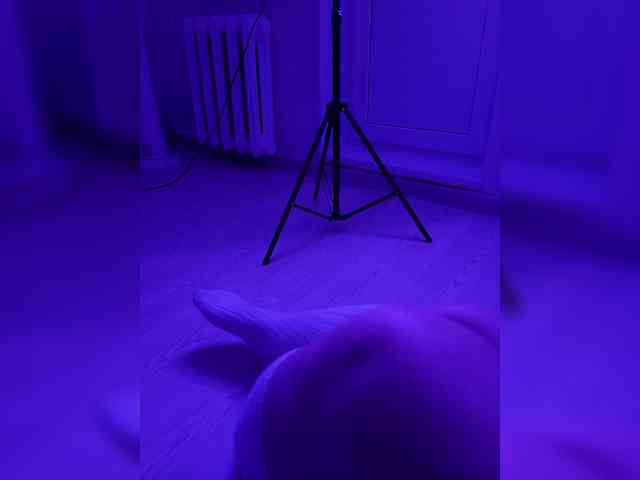 DevitivostayLisa webcam